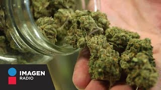 Lineamientos para uso de la marihuana