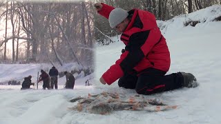 БРАКИ ПРОТИВ РЫБАКОВ! КТО КОГО