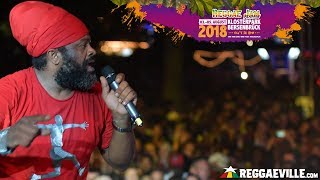 Fantan Mojah @ Reggae Jam 2018