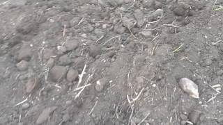 Сетчатая борона самодельная