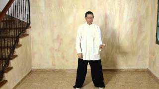 Introducción al Tai Chi Chuan Estilo Yang - Movimiento Inicial -  Por Jorge Beltrán