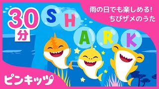 【30分連続】 雨の日でも楽しめる! ちびザメのうたのつめあわせ | おうちで楽しくうたっておどろう | キッズ動画 |知育動画 ピンキッツ童謡