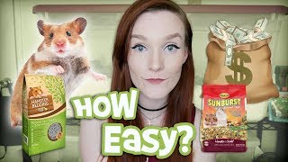 Hamster Care Routine & the Cost of Owning a Hamster!
