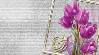 ❣ Бесплатный футаж для поздравления -11    #футаж