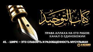 Ислам| 45. Ширк — это слабость и разобщенность мусульман | Ринат Абу Мухаммад.
