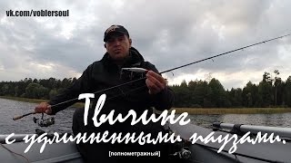 Ловля щуки в сентябре. Твичинг  воблеров с удлиненными паузами. Видео отчет от 5.09.15 г.