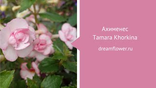 Ахименес Tamarа Khorkina