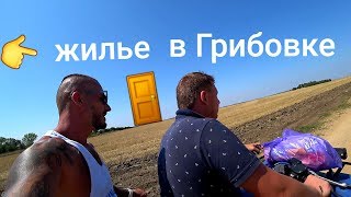 ГРИБОВКА - ЦЕНЫ НА ЖИЛЬЕ В АВГУСТЕ