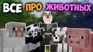 ?Животные в майнкрафт | Интересные факты?