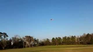 Wild Hare Edge 540 30% ZDZ RV 60cc