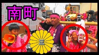 29年  平塚市  三嶋神社 例大祭「須賀のまつり」二基本社神輿連合渡御。