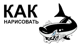 Картинки акул. КАК НАРИСОВАТЬ АКУЛУ карандашом