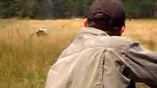 Elephant Gun #1