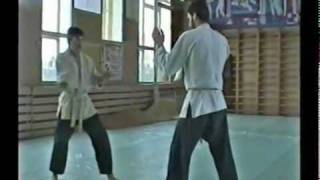 Экзамен. Джиу-джитсу. Ju-jutsu. Jiu-jitsu. Godai-ryu.