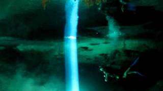 Cave Cenotes scuba diving,Riviera Maya,Cancun,Playa del Carmen,Cozumel,Snorkeling , Kantun chi