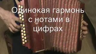 Одинокая гармонь с нотами в цифрах
