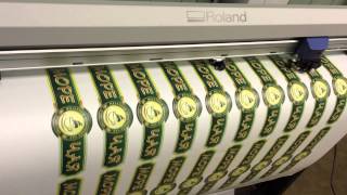Плоттерная резка по напечатанному изображению (по меткам) на Roland CAMM-1 PRO GX-500