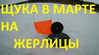 Рыбалка на жерлицы в марте 2019 года. Щука на живца.