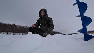 Где прячется рыба в глухозимье?! Ловля окуня и плотвы на безмотылку. Рыбалка на реке 2019