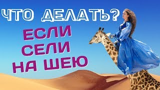 Что делать, если тебе СЕЛИ НА ШЕЮ! Как не допустить чтобы родные перешли ТВОИ ГРАНИЦЫ!