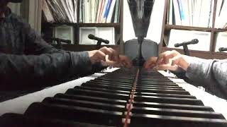 ベートーヴェンの交響曲第五番「運命」を全力で弾いてみました
