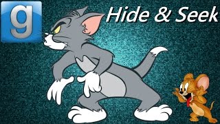 Gmod Hide & Seek Funny Moments-   Silence, Pro Spots , Big Room ( Garry's Mod )