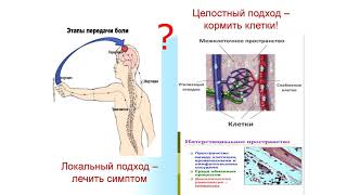 4 эраконд убирает боль
