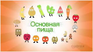 Питание и кариес. Часть 5. Полноценная пища