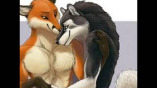Furry Artwork♡