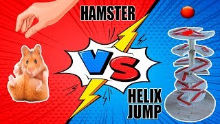 Хомяк против спирального прыжка.  Hamster VS Helix Jump. DIY Hamster toy