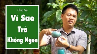Pha Chè Tân Cương Thái Nguyên Ngon, Khó Hay Dễ? - Lộc Tân Cương