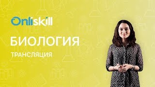 Биология 10 класс : Трансляция