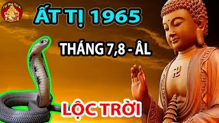 Tiết Lộ Bí Mật Động Trời Tuổi Ất Tị 1965 Trong Tháng 7 8 Âm Lịch