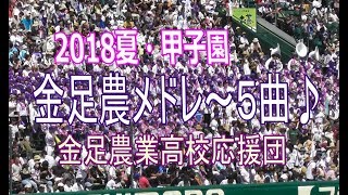 金足農業高校【応援歌５曲】2018夏甲子園　ShowTime，Gフレア，タイガーラグ他