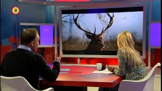 Recensie van de film: De nieuwe wildernis