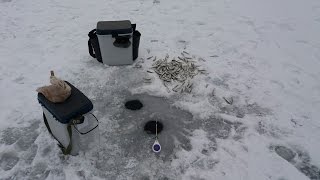 Ловля тюльки на мормышку.
