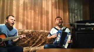 Стук группа Кино на гармошке!! Современные песни на гармони!