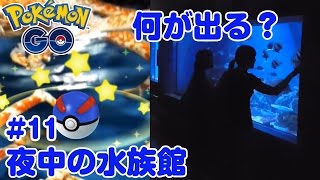 【Pokemon GO】昼と夜で違う？夜中の竹島水族館 ポケモンゴー