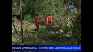 Последствия непогоды в Вологодской области