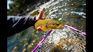 How effective is European Nymphing?