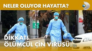 Çin'de ortaya çıkan ölümcül virüse dikkat! Neler Oluyor Hayatta?