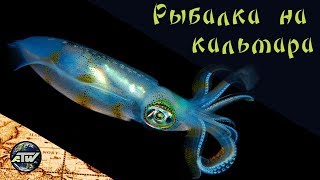 Ночная рыбалка на кальмара | Phu Quoc Night Squid Fishing | Остров Фукуок | Вьетнам