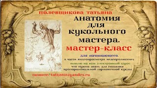 Обучающий курс: "Анатомия для Кукольного Мастера".