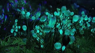 528Hz | The Deepest Sleep Music | Drift into The Best Sleep | Healing Sleep | Fall ASleep Deep Music