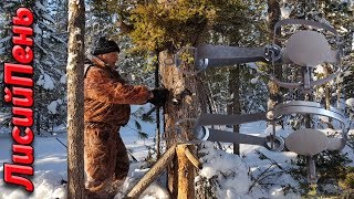 ТОП 1 капкан на соболя и куницу