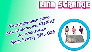 Тестирование бюджетного лака для стемпинга PINPAI на пластинке Born Pretty BPL-026