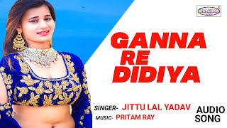 Patidarva Bo Diya Ganna || पतिदरवा बो दिया गन्ना || Superhit Bhojpuri Song 2017 || Jitu Lal Yadav