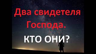 2020 ГОД.Второе Пришествие Христа.Кто такие 2 СВИДЕТЕЛЯ ГОСПОДА? Радеев Владимир(муже)