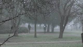 Футаж. Утро Туманное. Futage. Misty morning