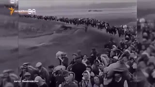 Pur și Simplu: „Holocaustul nu e un basm” (interviu)
